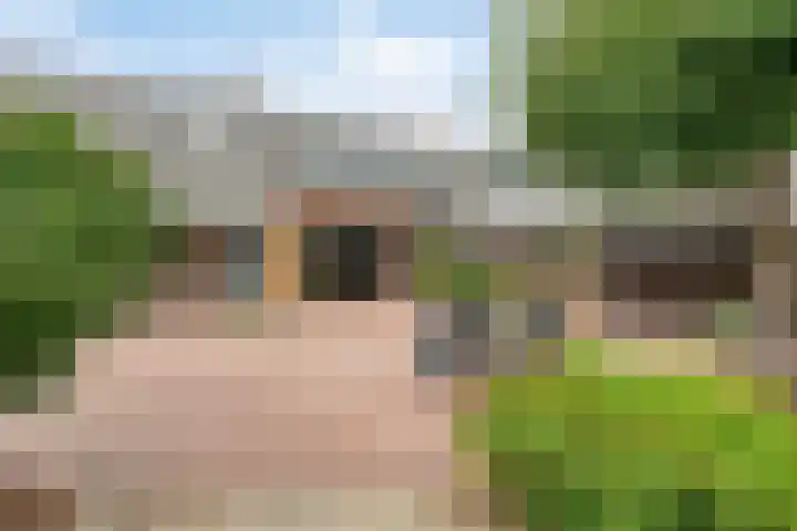 Grootdorp 65 Merselo thumbnail 47