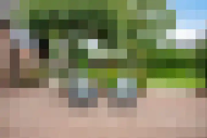 Grootdorp 65 Merselo thumbnail 48