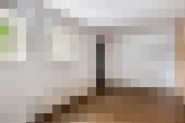 Grootdorp 65 Merselo thumbnail 5