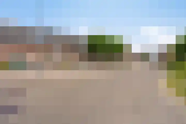 Grootdorp 65 Merselo thumbnail 51