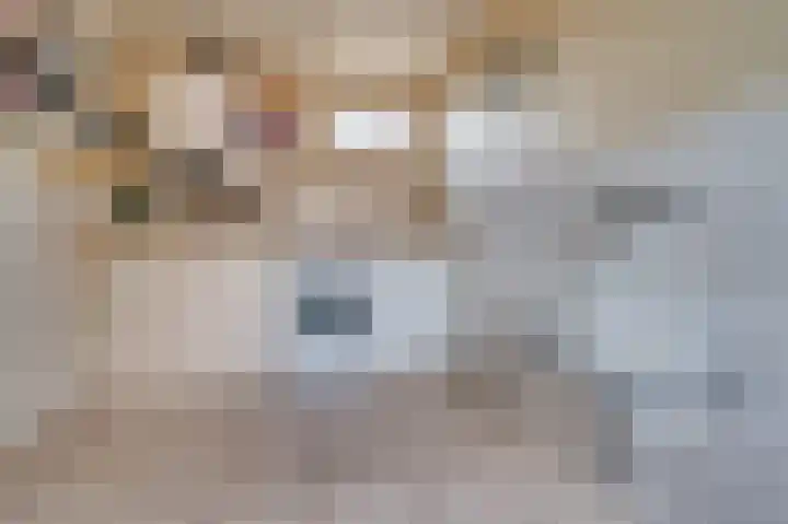 Grootdorp 9 Merselo thumbnail 13