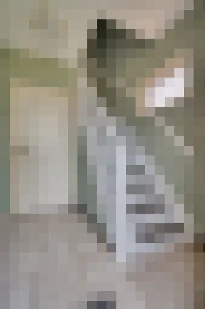 Grootdorp 9 Merselo thumbnail 19
