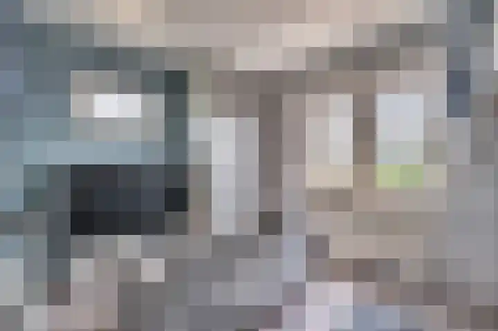 Grootdorp 9 Merselo thumbnail 23