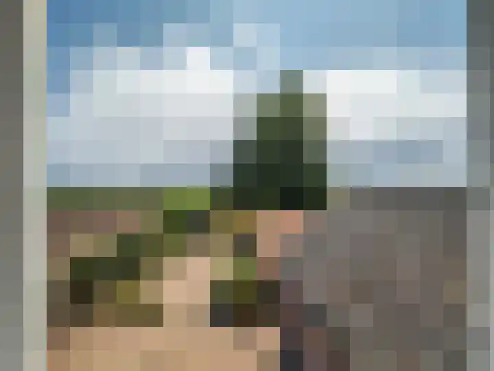 Grootdorp 9 Merselo thumbnail 24