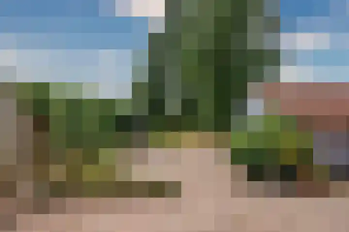 Grootdorp 9 Merselo thumbnail 35