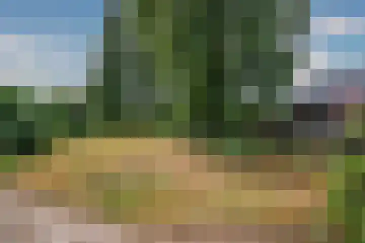 Grootdorp 9 Merselo thumbnail 36