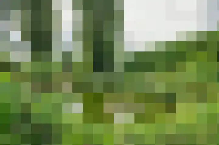 Grootdorp 9 Merselo thumbnail 37