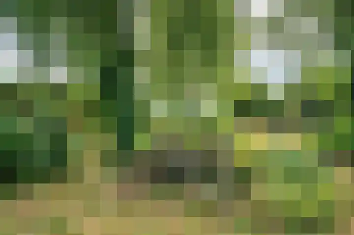 Grootdorp 9 Merselo thumbnail 38