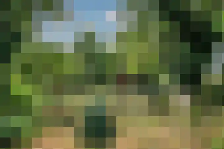 Grootdorp 9 Merselo thumbnail 39