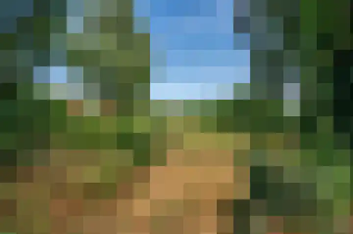 Grootdorp 9 Merselo thumbnail 40