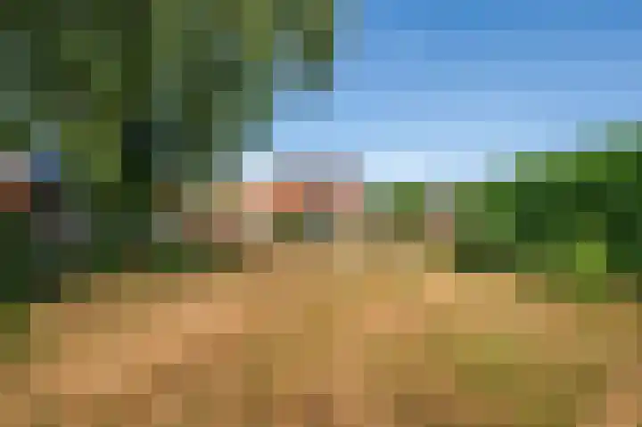 Grootdorp 9 Merselo thumbnail 41