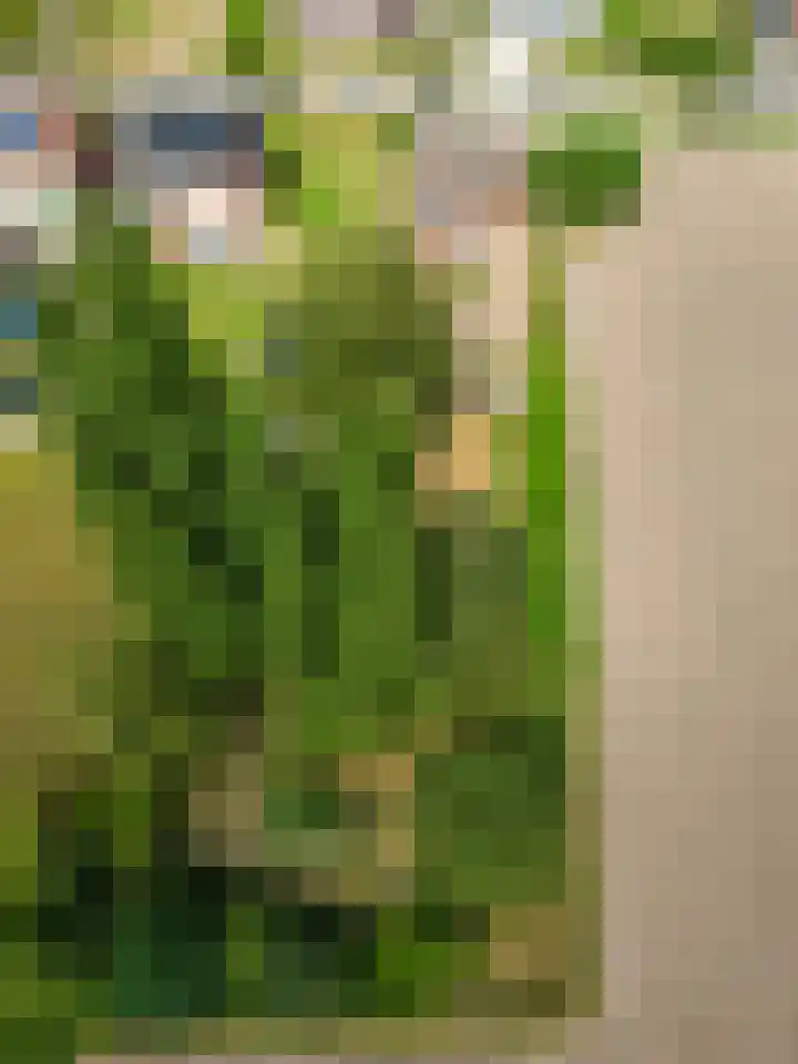 Grootdorp 9 Merselo thumbnail 43