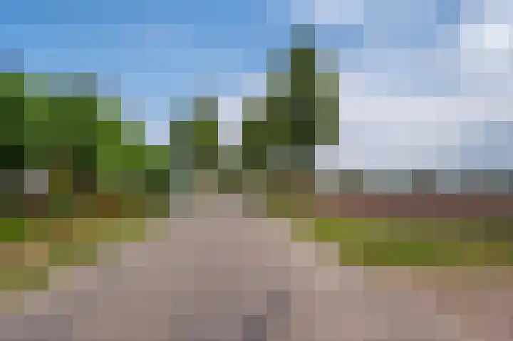 Grootdorp 9 Merselo thumbnail 44