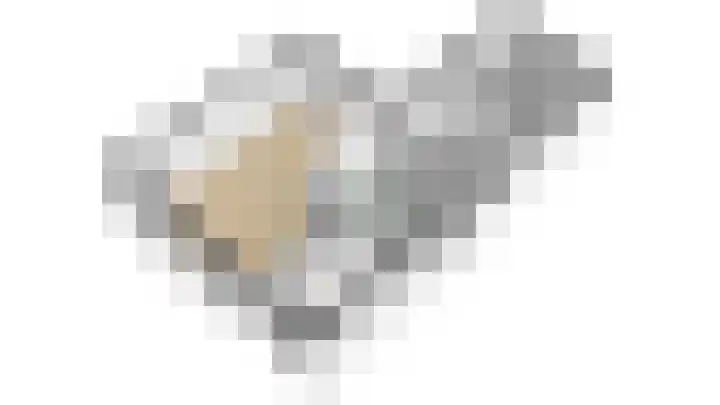 Grootdorp 9 Merselo thumbnail 47