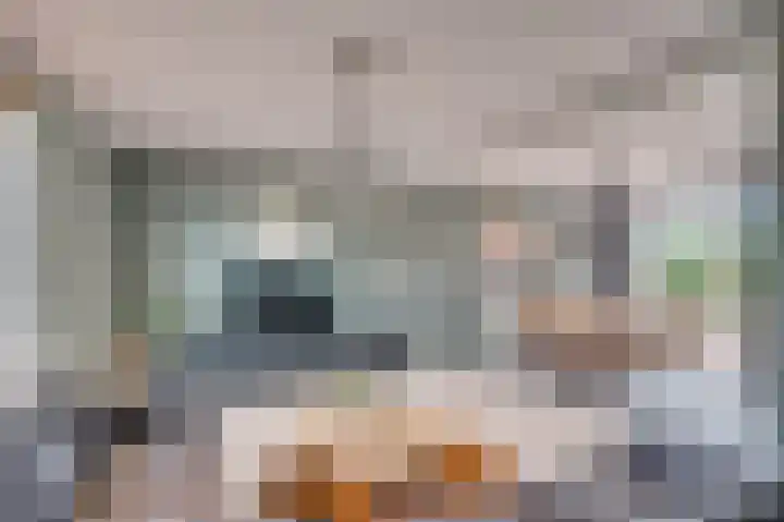 Grootdorp 9 Merselo thumbnail 5