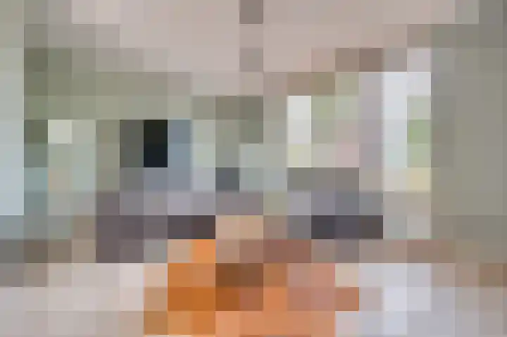 Grootdorp 9 Merselo thumbnail 6