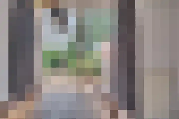 Grootdorp 9 Merselo thumbnail 9