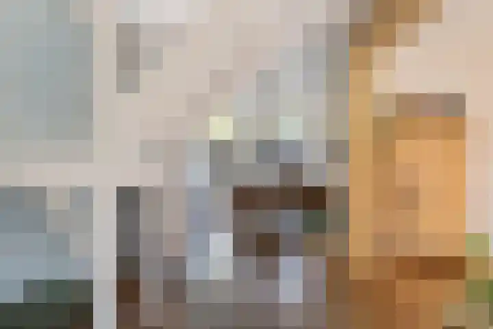 Groote Noord 2 Monnickendam thumbnail 10