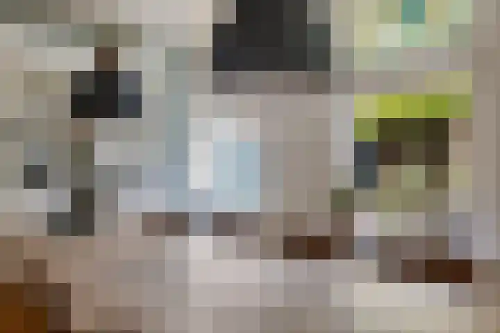 Groote Noord 2 Monnickendam thumbnail 18