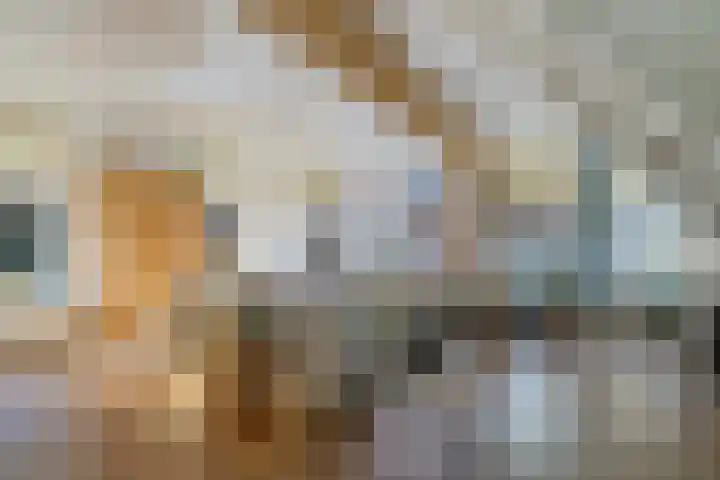 Groote Noord 2 Monnickendam thumbnail 4