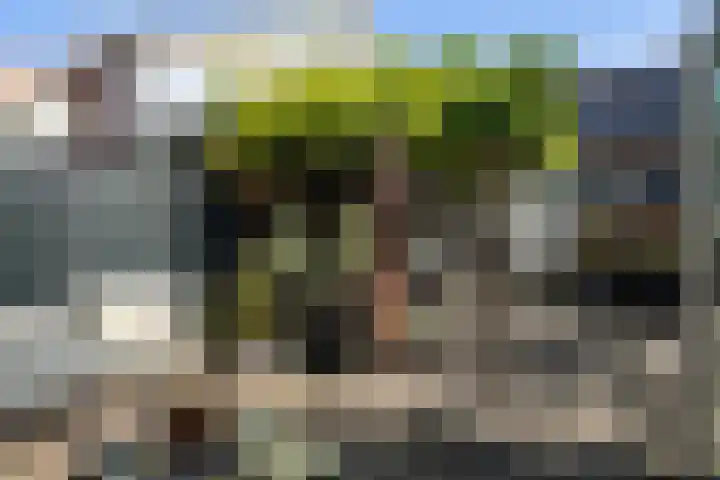 Groote Noord 2 Monnickendam thumbnail 40