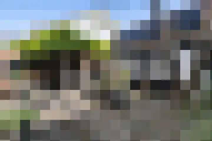Groote Noord 2 Monnickendam thumbnail 42