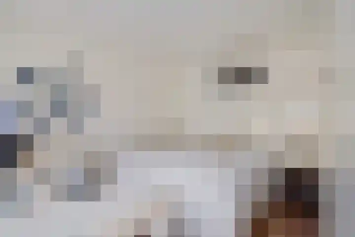 Groote Noord 2 Monnickendam thumbnail 43