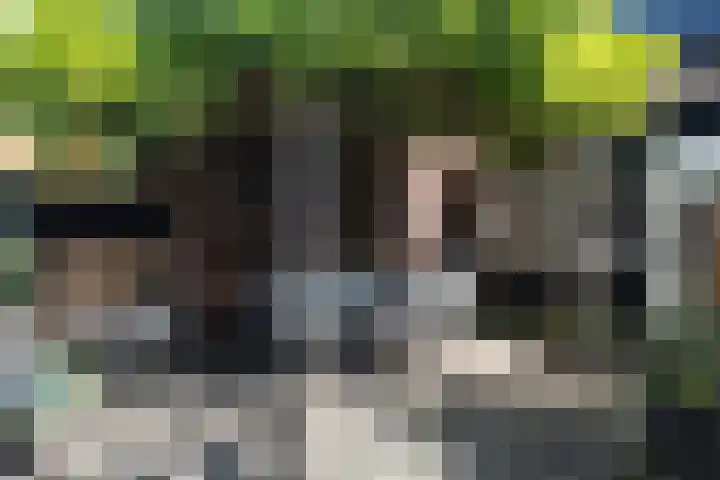 Groote Noord 2 Monnickendam thumbnail 47