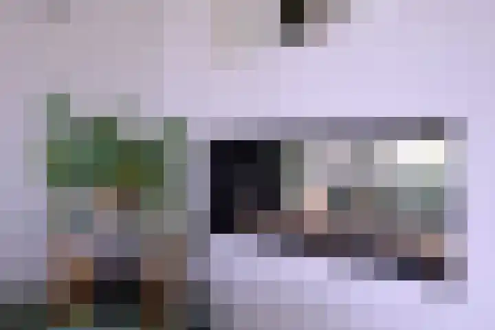 Grooterkamp 59 Gorssel thumbnail 15