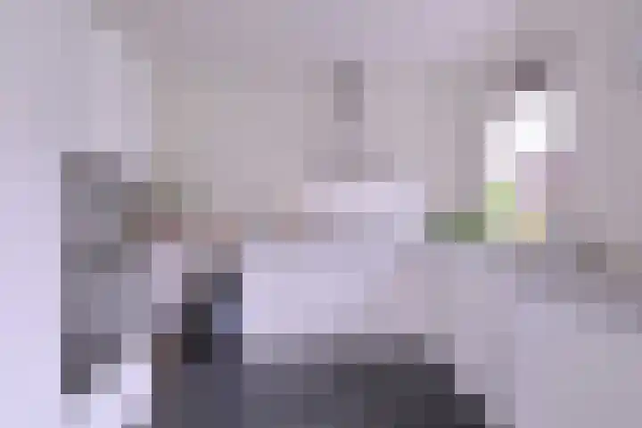 Grooterkamp 59 Gorssel thumbnail 17
