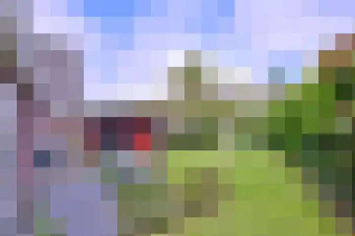 Grooterkamp 59 Gorssel thumbnail 4