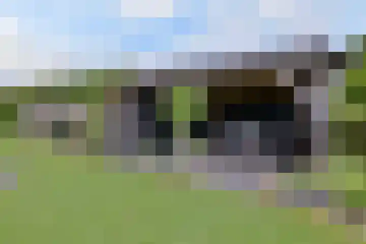 Grooterkamp 59 Gorssel thumbnail 46