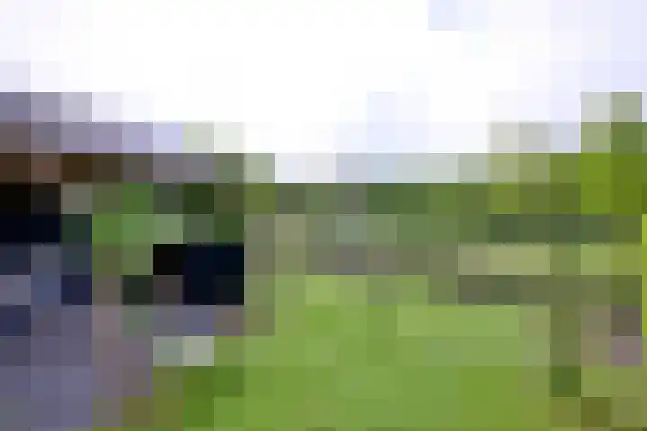 Grooterkamp 59 Gorssel thumbnail 47