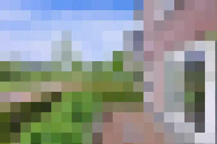 Grooterkamp 59 Gorssel thumbnail 49
