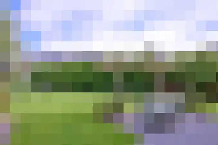 Grooterkamp 59 Gorssel thumbnail 5
