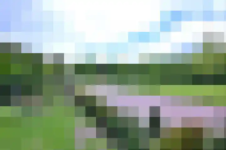Grooterkamp 59 Gorssel thumbnail 52