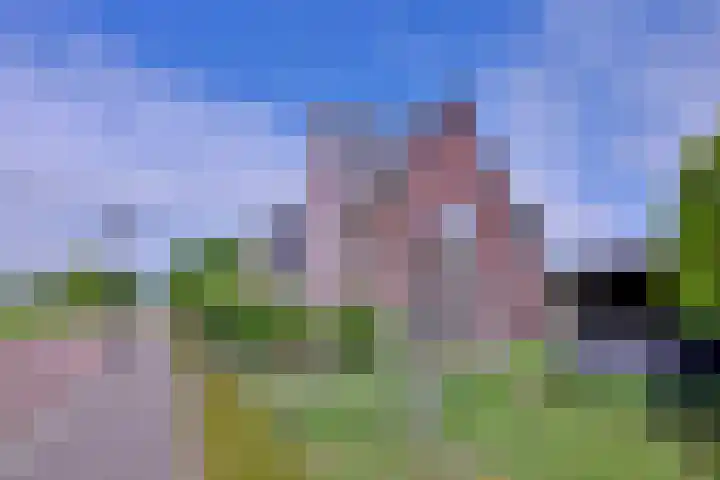 Grooterkamp 59 Gorssel thumbnail 54