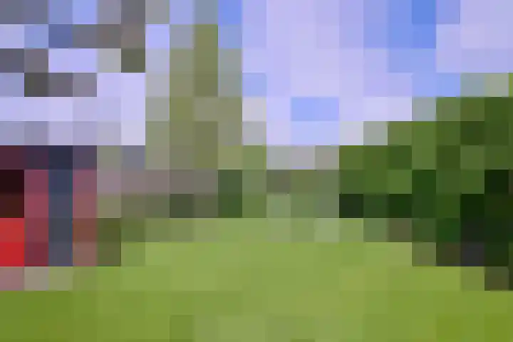 Grooterkamp 59 Gorssel thumbnail 6
