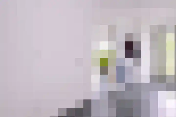 Grooterkamp 59 Gorssel thumbnail 8