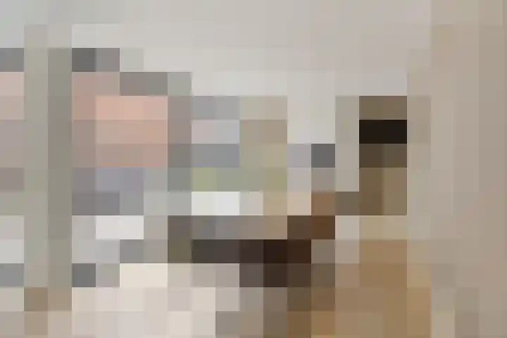 Grootestraat 12 Batenburg thumbnail 14