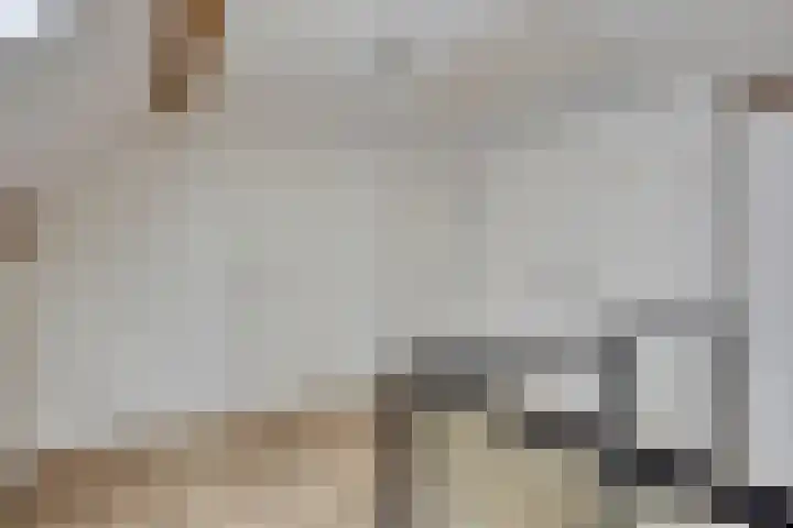 Grootestraat 12 Batenburg thumbnail 22