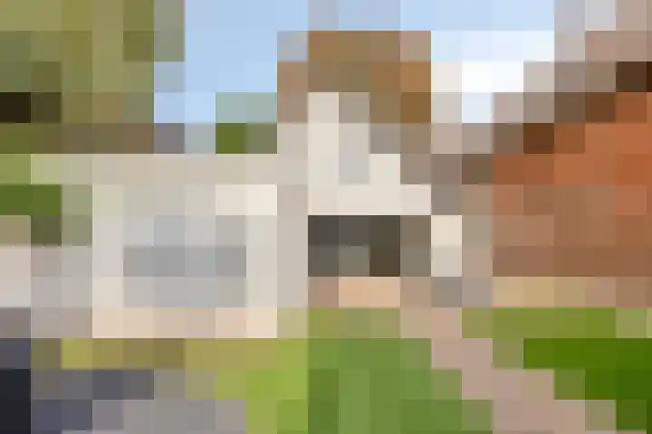 Grootestraat 12 Batenburg thumbnail 34