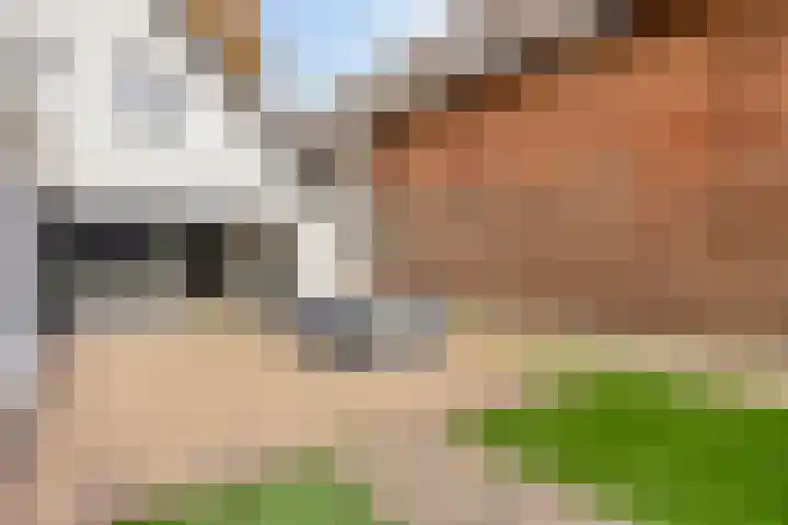 Grootestraat 12 Batenburg thumbnail 35