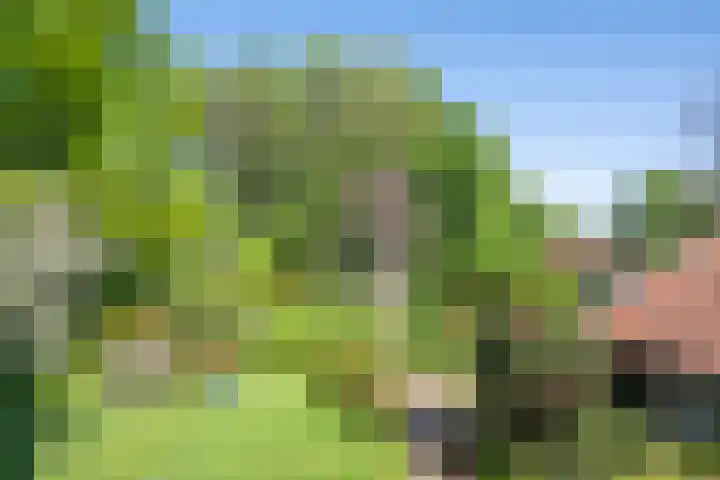Grootgenhouterstraat 113 Beek thumbnail 30