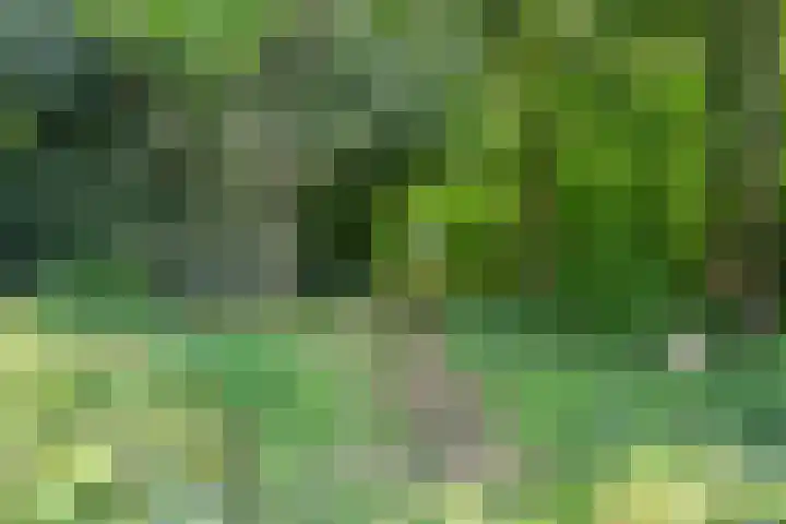 Grootgenhouterstraat 113 Beek thumbnail 32