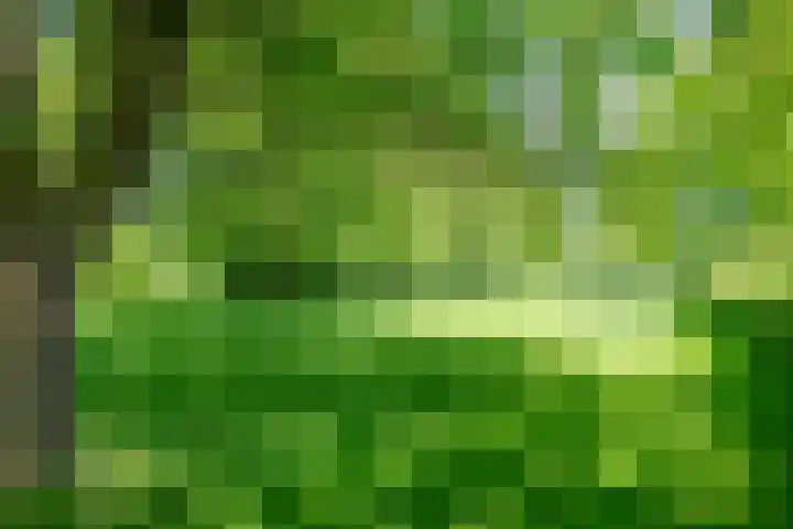 Grootgenhouterstraat 113 Beek thumbnail 33