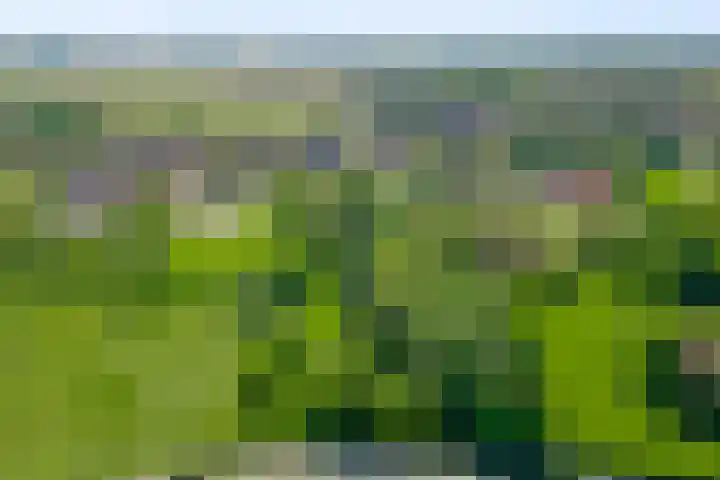 Grootgenhouterstraat 113 Beek thumbnail 35
