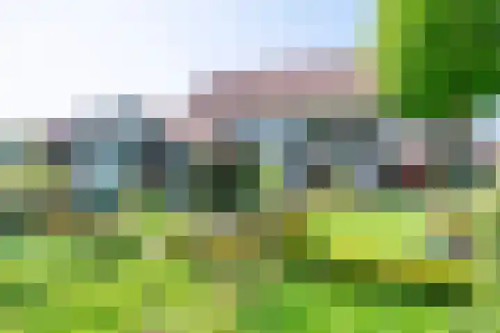 Grootgenhouterstraat 113 Beek thumbnail 8