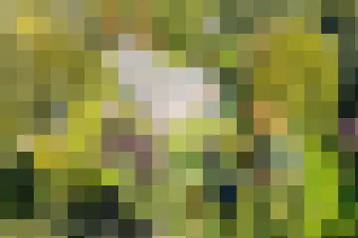 Groothees 18 Erp