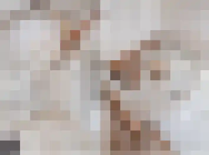 Groothees 18 Erp thumbnail 26